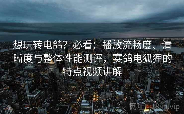 想玩转电鸽?必看:播放流畅度、清晰度与整体性能测评,赛鸽电狐狸的特点视频讲解 第2张 想玩转电鸽?必看:播放流畅度、清晰度与整体性能测评,赛鸽电狐狸的特点视频讲解 第2张