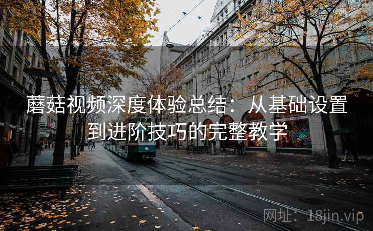 蘑菇视频深度体验总结:从基础设置到进阶技巧的完整教学
