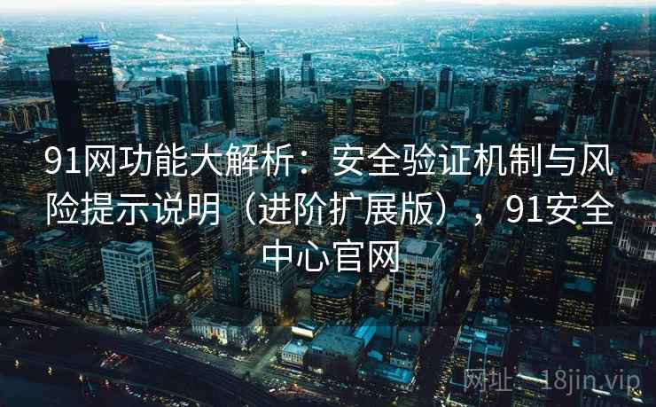 91网功能大解析：安全验证机制与风险提示说明（进阶扩展版），91安全中心官网