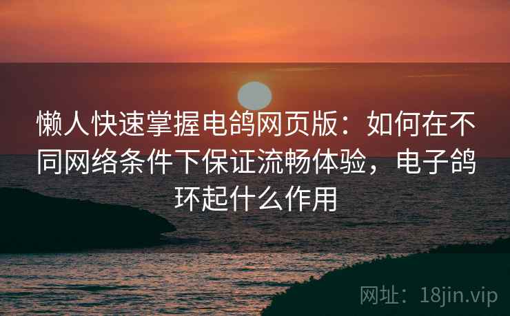 懒人快速掌握电鸽网页版：如何在不同网络条件下保证流畅体验，电子鸽环起什么作用
