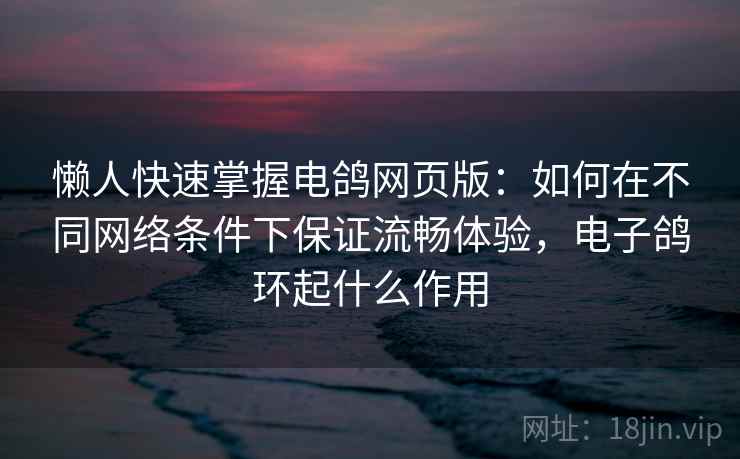 懒人快速掌握电鸽网页版：如何在不同网络条件下保证流畅体验，电子鸽环起什么作用