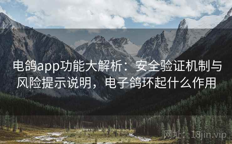 电鸽app功能大解析：安全验证机制与风险提示说明，电子鸽环起什么作用