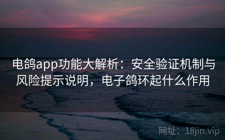 电鸽app功能大解析：安全验证机制与风险提示说明，电子鸽环起什么作用