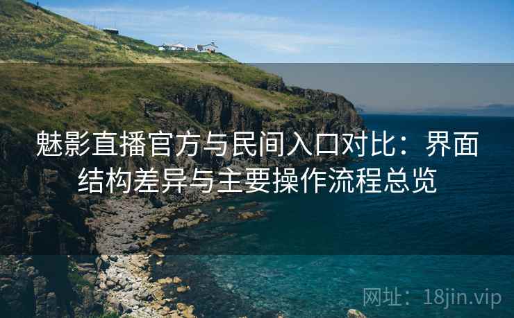 魅影直播官方与民间入口对比：界面结构差异与主要操作流程总览