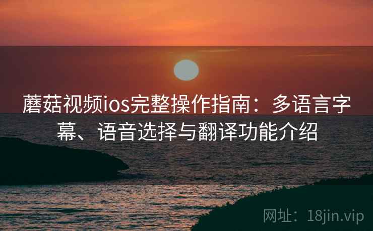 蘑菇视频ios完整操作指南:多语言字幕、语音选择与翻译功能介绍