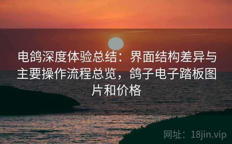 电鸽深度体验总结：界面结构差异与主要操作流程总览，鸽子电子踏板图片和价格