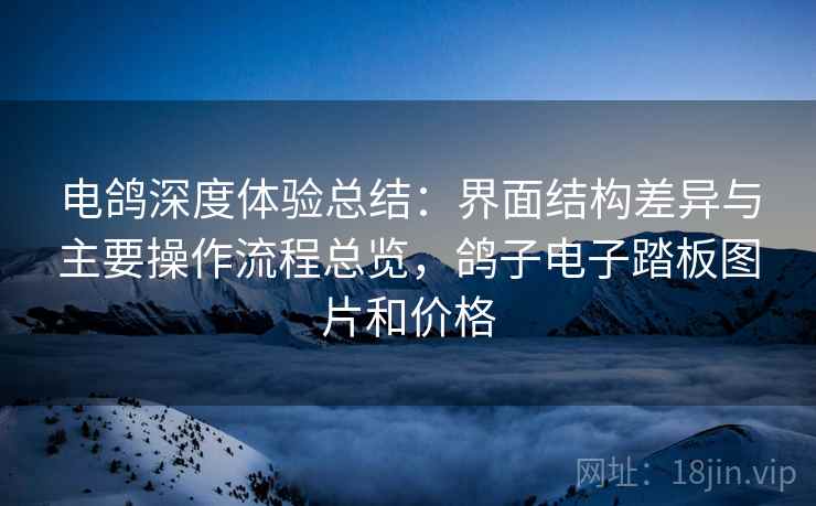 电鸽深度体验总结：界面结构差异与主要操作流程总览，鸽子电子踏板图片和价格