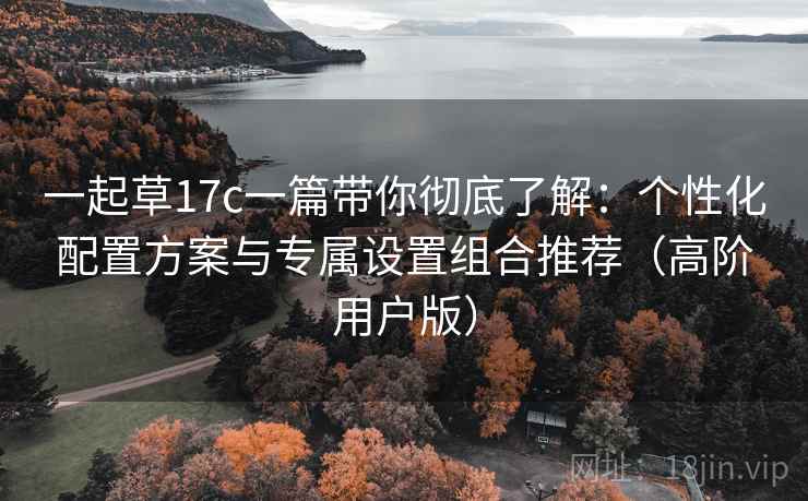 一起草17c一篇带你彻底了解：个性化配置方案与专属设置组合推荐（高阶用户版）