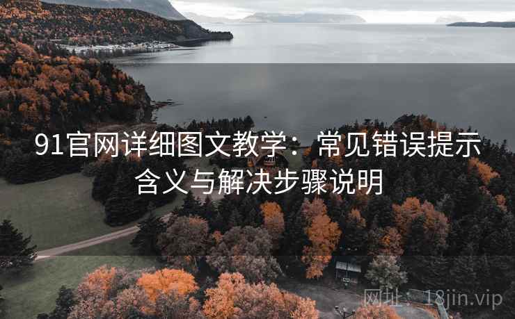 91官网详细图文教学：常见错误提示含义与解决步骤说明