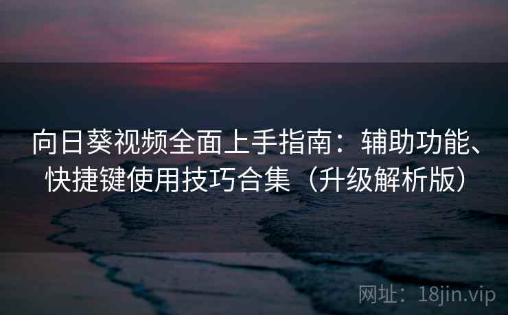 向日葵视频全面上手指南：辅助功能、快捷键使用技巧合集（升级解析版）