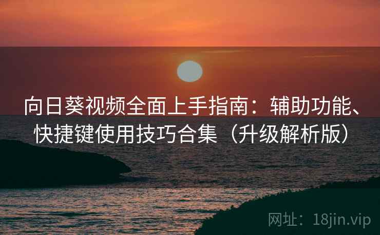 向日葵视频全面上手指南：辅助功能、快捷键使用技巧合集（升级解析版）
