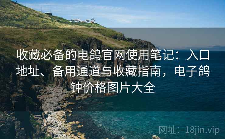收藏必备的电鸽官网使用笔记：入口地址、备用通道与收藏指南，电子鸽钟价格图片大全