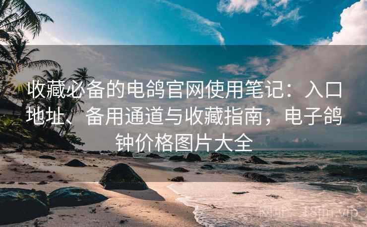 收藏必备的电鸽官网使用笔记：入口地址、备用通道与收藏指南，电子鸽钟价格图片大全