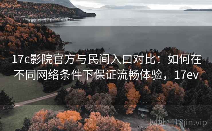 17c影院官方与民间入口对比：如何在不同网络条件下保证流畅体验，17ev