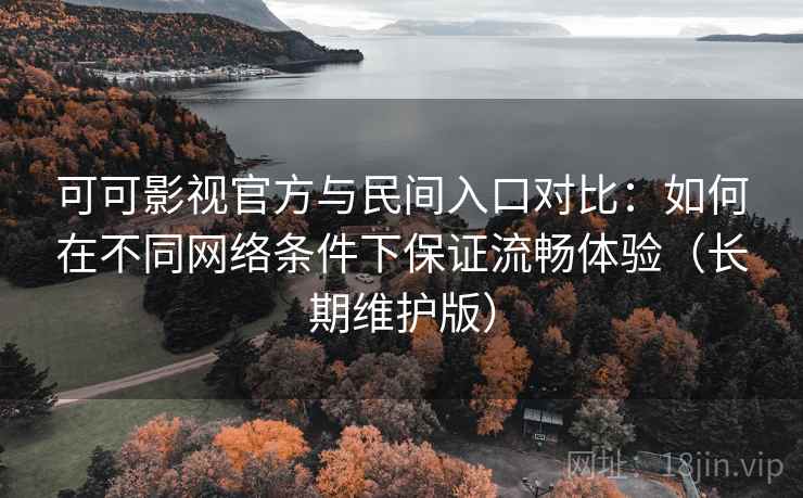 可可影视官方与民间入口对比：如何在不同网络条件下保证流畅体验（长期维护版）