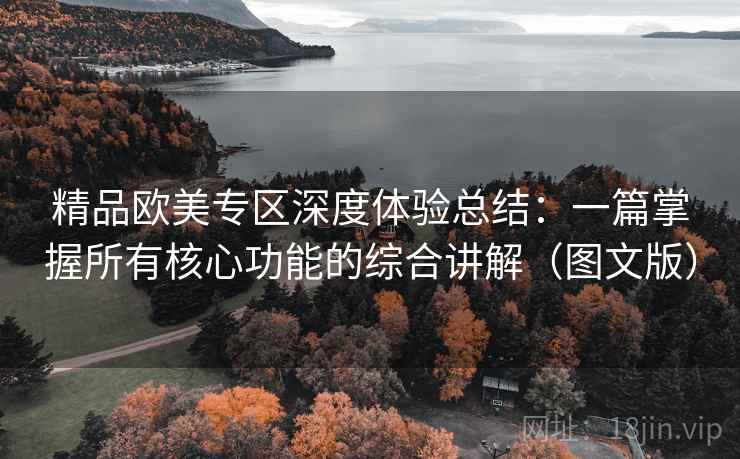 精品欧美专区深度体验总结：一篇掌握所有核心功能的综合讲解（图文版）