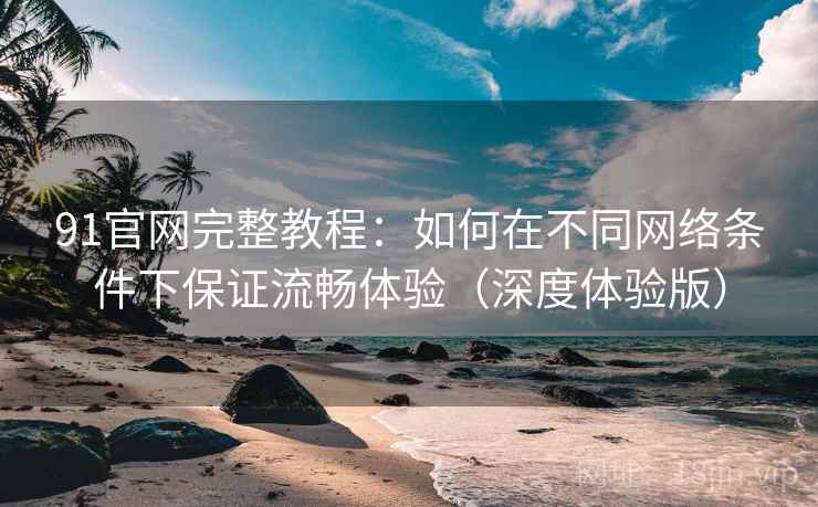91官网完整教程：如何在不同网络条件下保证流畅体验（深度体验版）