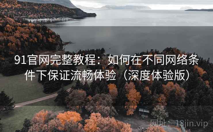 91官网完整教程：如何在不同网络条件下保证流畅体验（深度体验版）
