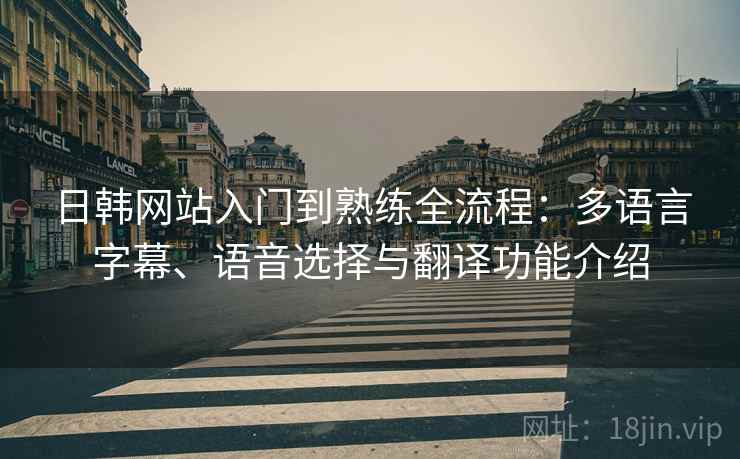 日韩网站入门到熟练全流程：多语言字幕、语音选择与翻译功能介绍  第2张