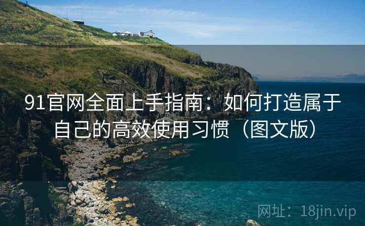 91官网全面上手指南：如何打造属于自己的高效使用习惯（图文版）  第2张