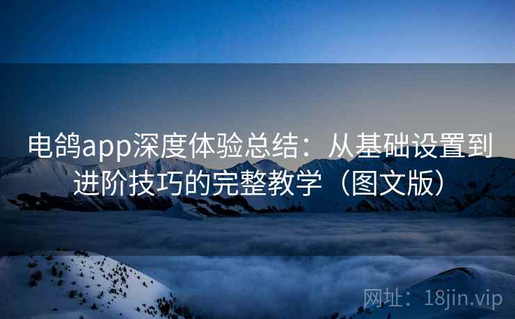 电鸽app深度体验总结：从基础设置到进阶技巧的完整教学（图文版）