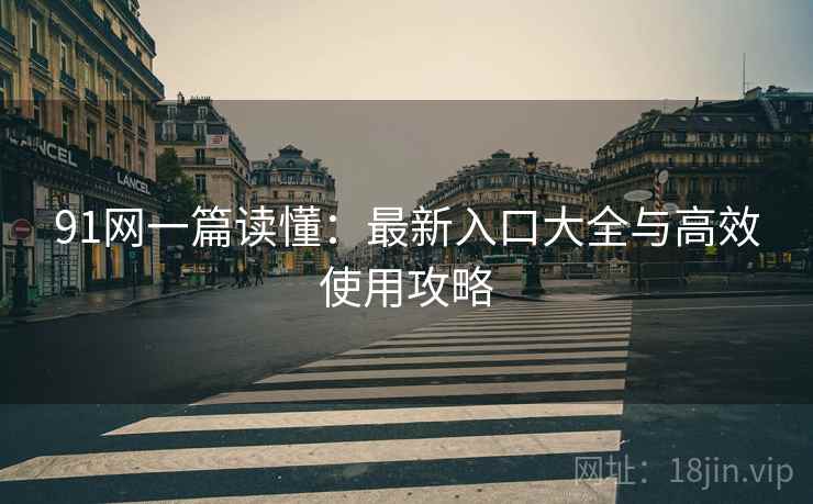 91网一篇读懂：最新入口大全与高效使用攻略