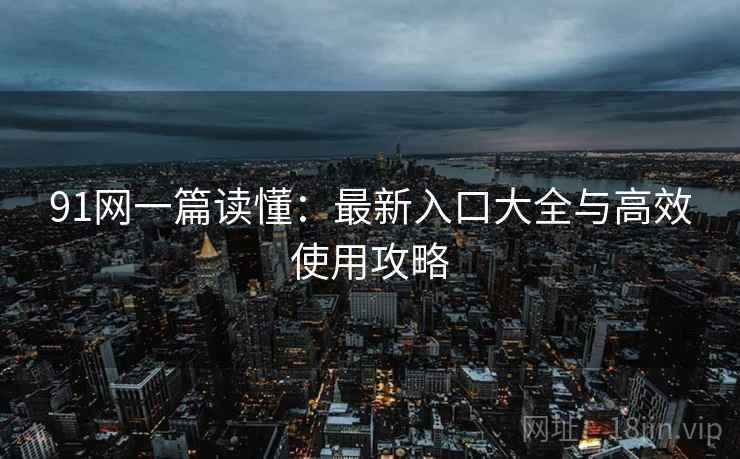 91网一篇读懂：最新入口大全与高效使用攻略  第2张