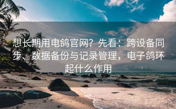 想长期用电鸽官网？先看：跨设备同步、数据备份与记录管理，电子鸽环起什么作用