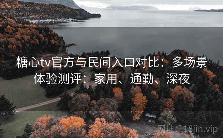 糖心tv官方与民间入口对比:多场景体验测评:家用、通勤、深夜