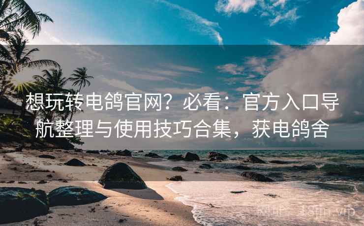 想玩转电鸽官网?必看:官方入口导航整理与使用技巧合集,获电鸽舍