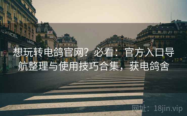 想玩转电鸽官网?必看:官方入口导航整理与使用技巧合集,获电鸽舍