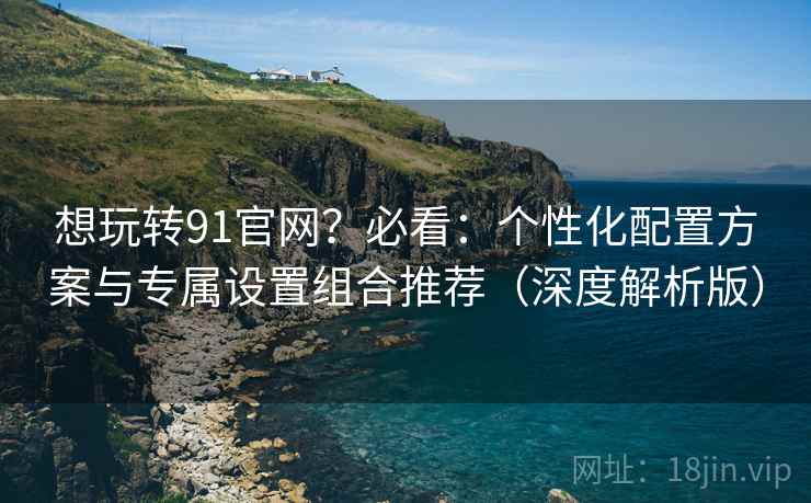 想玩转91官网?必看:个性化配置方案与专属设置组合推荐(深度解析版) 第2张 想玩转91官网?必看:个性化配置方案与专属设置组合推荐(深度解析版) 第2张