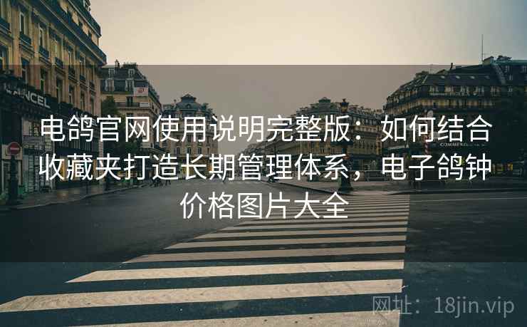 电鸽官网使用说明完整版:如何结合收藏夹打造长期管理体系,电子鸽钟价格图片大全 第2张 电鸽官网使用说明完整版:如何结合收藏夹打造长期管理体系,电子鸽钟价格图片大全 第2张