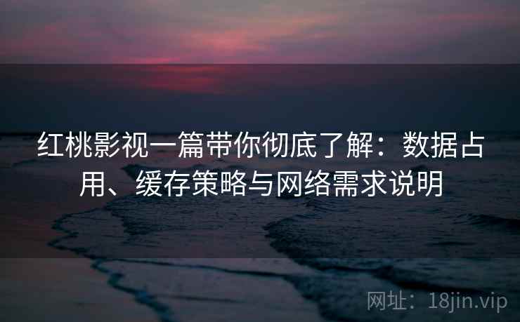 红桃影视一篇带你彻底了解:数据占用、缓存策略与网络需求说明