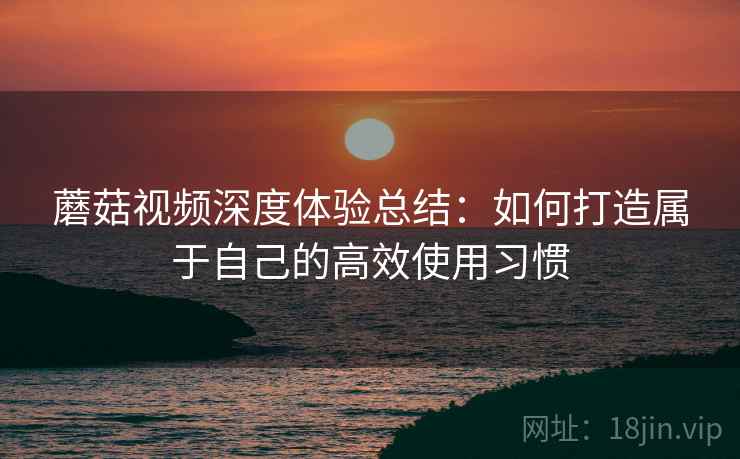 蘑菇视频深度体验总结:如何打造属于自己的高效使用习惯