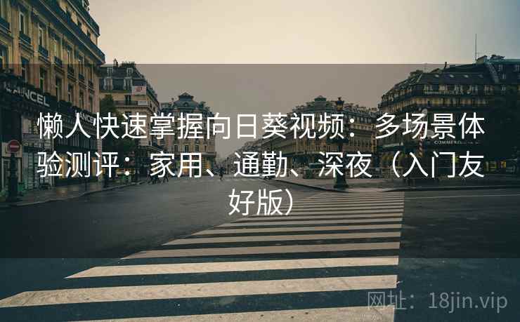 懒人快速掌握向日葵视频:多场景体验测评:家用、通勤、深夜(入门友好版)