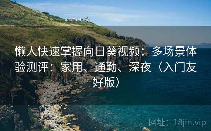 懒人快速掌握向日葵视频：多场景体验测评：家用、通勤、深夜（入门友好版）